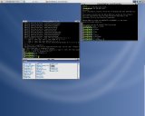 Viewglob running on rxvt on XFCE