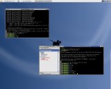 Viewglob running on rxvt on XFCE