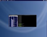 Viewglob running on rxvt on XFCE